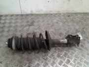 Federbein Links Vorne Fiat Punto III (199) Schrägheck 1.3 JTD Multijet 80 16V (199.B.8000) 2015-11