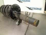 Federbein Links Vorne Volkswagen Transporter T5 Van 2.5 TDi (AXD) 2005-01 AXD