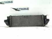 Ladeluftkühler Ford Transit Van 2.3 16V (GZFA) 2007