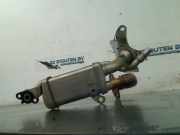 Agr Kühler 147357324r Mercedes-Benz Citan (415.6) Van 1.5 108 CDI Euro 6 (K9K-E6(Euro 6)) 2019-10