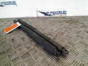 Gasdruckfedern Set Hinten 729419901 BMW X5 (E70) SUV xDrive 35d 3.0 24V (N57-D30A) 2011-04