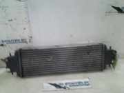 Ladeluftkühler 91166035 Renault Trafic New (FL) Van 1.9 dCi 100 16V (F9Q-760) 2006-01