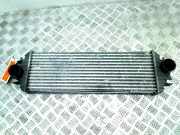 Ladeluftkühler Nissan Primastar Van 1.9 dCi 80 (F9Q-762) 2003-07