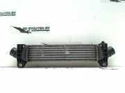 Ladeluftkühler Ford Mondeo III Wagon Kombi 2.0 TDdi 90 16V (SDBA) 2006-08