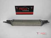 Ladeluftkühler Fiat Grande Punto 199 866452000