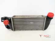 Ladeluftkühler Ford Ka RU8 878350000