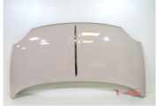 Motorhaube Fiat 500 312 52009424