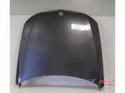 Motorhaube BMW 3er E90 41617153940