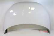 Motorhaube Fiat 500X 334 52111389
