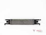 Ladeluftkühler Fiat Punto Evo 199 55702237