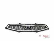 Kühlergrill Kia Picanto 2 TA 863511Y000