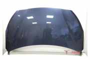 Motorhaube Hyundai i20 PB 664001J500