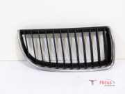 Kühlergrill BMW 3er E90 00000