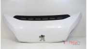 Motorhaube Peugeot Boxer Kasten 1612246980
