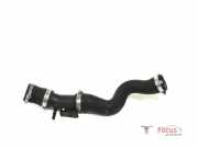 Ladeluftschlauch Ford Focus III DYB 0261230281
