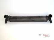 Ladeluftkühler Audi A1 8X 6R0145805