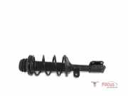 Federbein rechts vorne Suzuki Alto VII GF, HA25, HA35 4160168K00