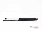 Heckklappendämpfer BMW 1er F20 51247239871