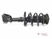 Federbein links vorne Renault Master III Kasten FV 543029774R