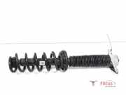 Federbein links hinten Hyundai Tucson III TL, TLE 55300D7000