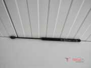 Heckklappendämpfer rechts Kia Picanto 1 SA 8178007000