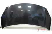 Motorhaube Citroen C3 II SC 7901R1