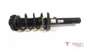 Federbein rechts vorne VW Golf VI 5K 1T0413031HN