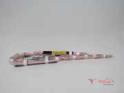 Airbag Dach links Ford EcoSport CN15A042D95AC