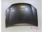 Motorhaube VW Golf V 1K 1K0823155