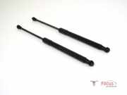 Heckklappendämpfer Renault Twingo II CN0 8200385560