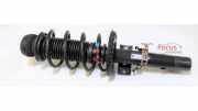 Federbein links vorne Skoda Fabia II 542 6Q0413031BJ