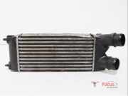 Ladeluftkühler Peugeot Partner II Kasten 0384L9