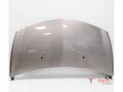 Motorhaube Renault Clio III Grandtour R 7751476113