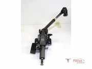 Lenksäule Renault Scenic IV J9 487005384R