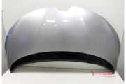 Motorhaube Renault Scenic IV J9