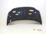 Motorhaube Fiat 500 312 52009424