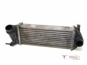 Ladeluftkühler Renault Kangoo II Rapid FW0 144963234R