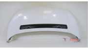 Motorhaube Peugeot Expert II Kasten VF 7901N1