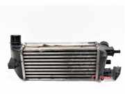 Ladeluftkühler Ford Ka RU8 878350000