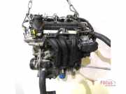 Motor ohne Anbauteile (Benzin) Kia Picanto 3 JA 3510004900