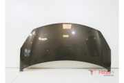 Motorhaube Citroen C3 II SC 7901R1