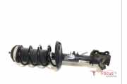 Federbein links vorne Fiat Panda 312, 319 51926519