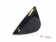 Zierleiste Renault Scenic IV J9 960322984R