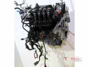 Motor ohne Anbauteile (Benzin) Ford Ka RU8 552084761