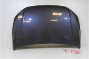 Motorhaube VW Polo VI AW 2G0823031J