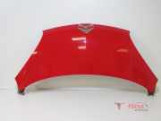 Motorhaube Citroen C1 7901L8