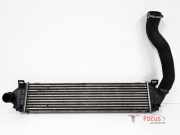 Ladeluftkühler Ford Focus II DA, DP, HCP 880624D