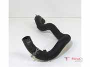 Kühlerschlauch Renault Scenic IV J9 215015627R