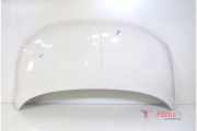 Motorhaube Fiat 500 312
