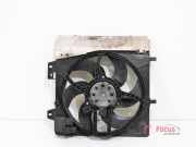 Elektrolüfter Peugeot 207 8240503FR